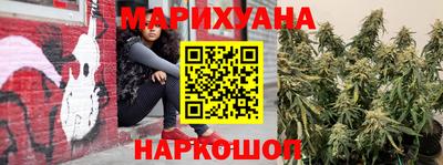 трава Новокубанск
