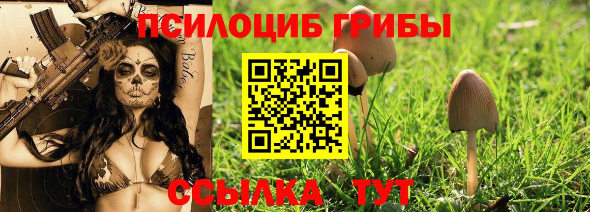 Псилоцибиновые грибы мухоморы Светлоград