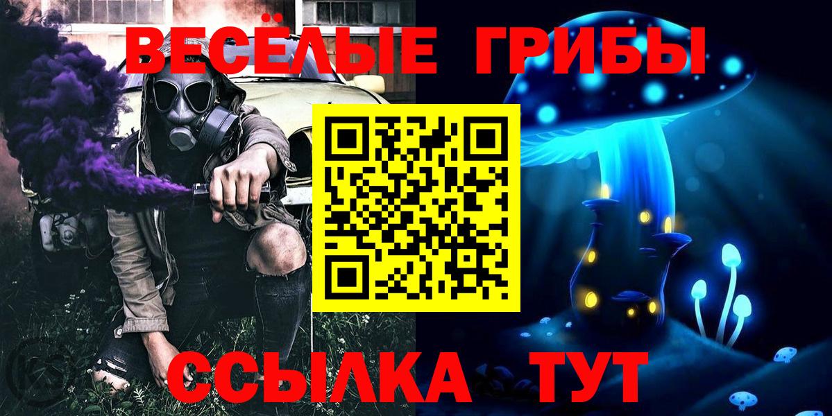 закладки  Вход с VPN  Светлоград  Галлюциногенные грибы мицелий 